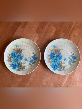 2, 1960’s melamine plates with blue floral pattern